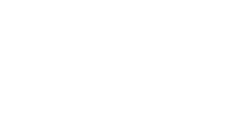 Instituto Verônica Nunes